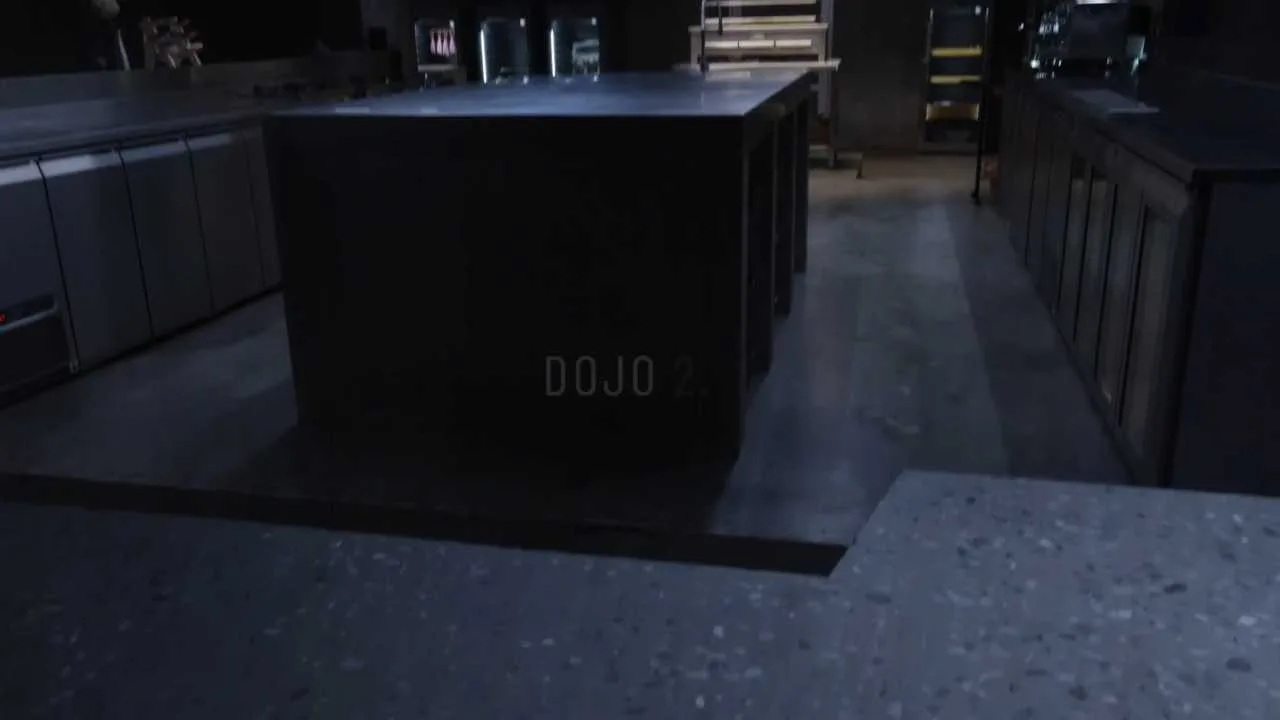 DOJO 2.0 — photo 15