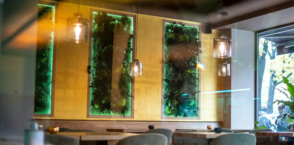 Bodhi Vegan Living — photo 7