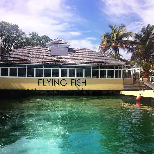 Flying Fish GastroBar — photo 28
