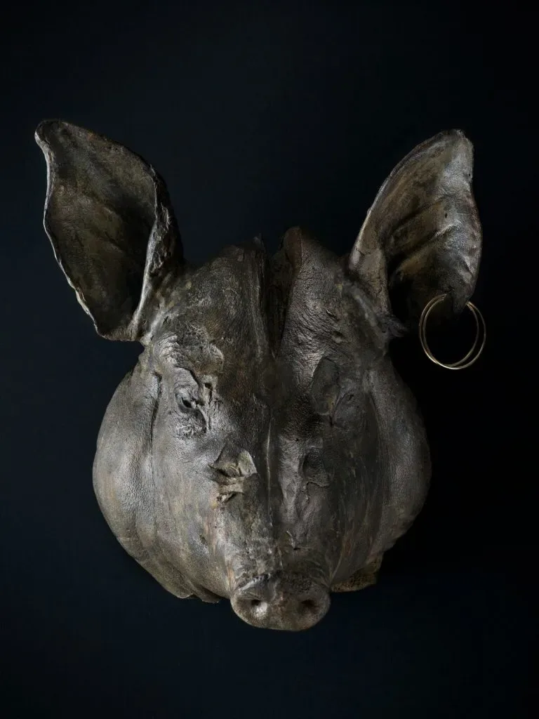 The Unruly Pig — photo 40