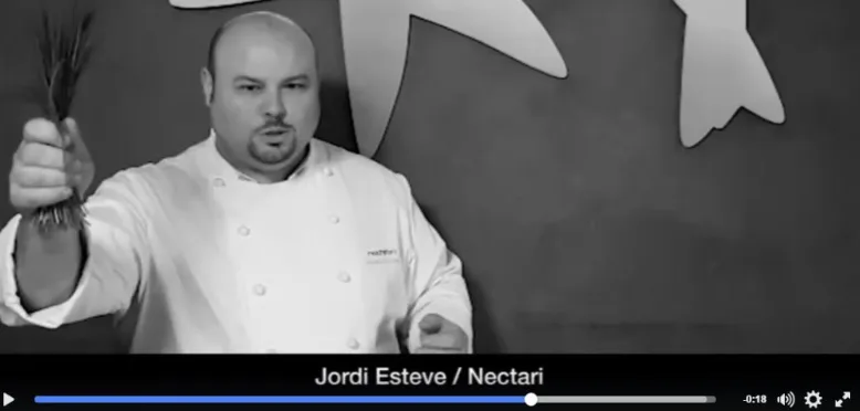 Nectari — photo 35