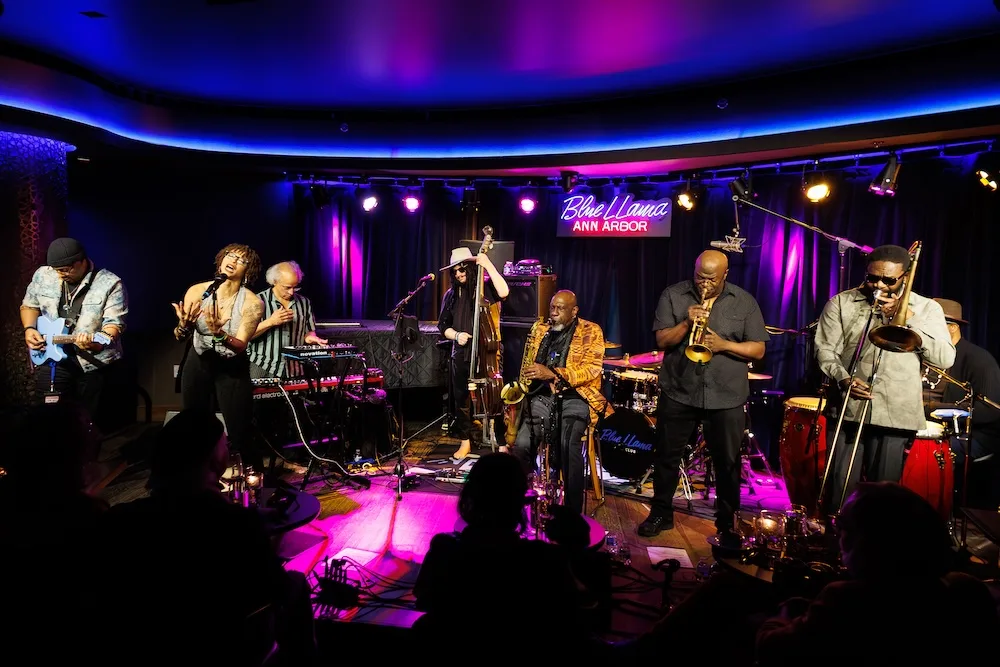 The Blue Llama Jazz Club — photo 66