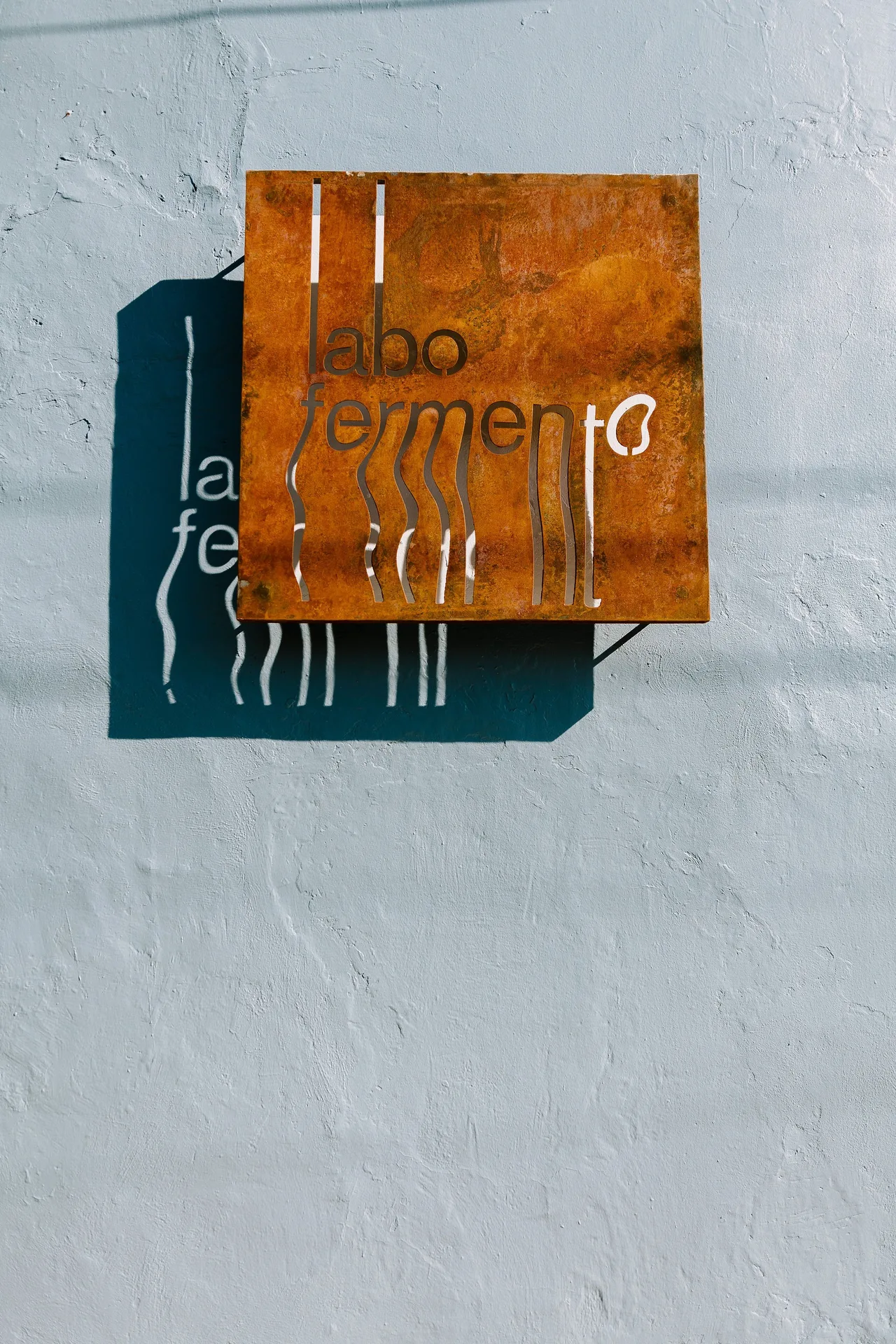 Labo Fermento — photo 12