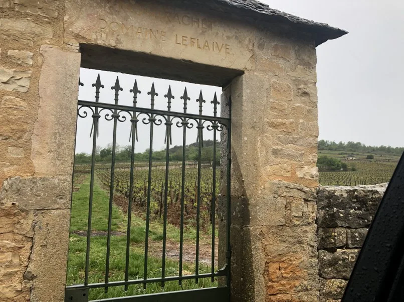 La Bécasse — photo 283