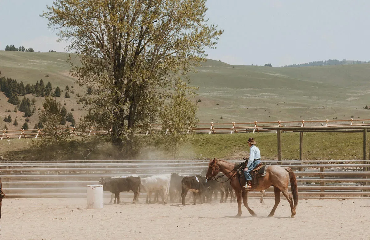 The Ranch at Rock Creek — photo 37