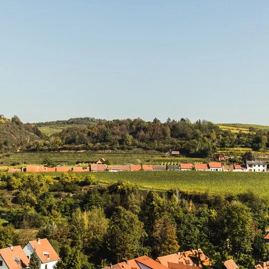 Weingut Nigl — photo 24