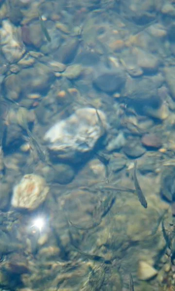 PERTORNARE — photo 19