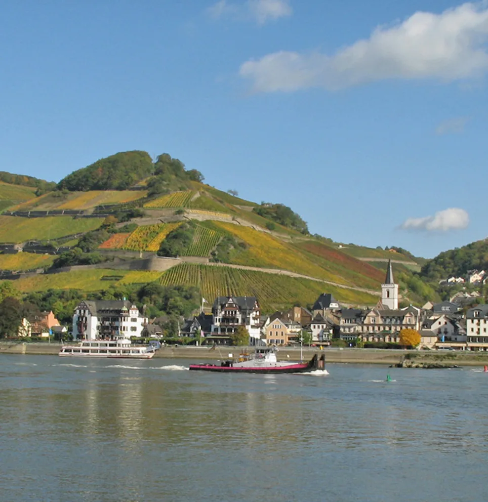 Restaurant zum Anker — photo 28