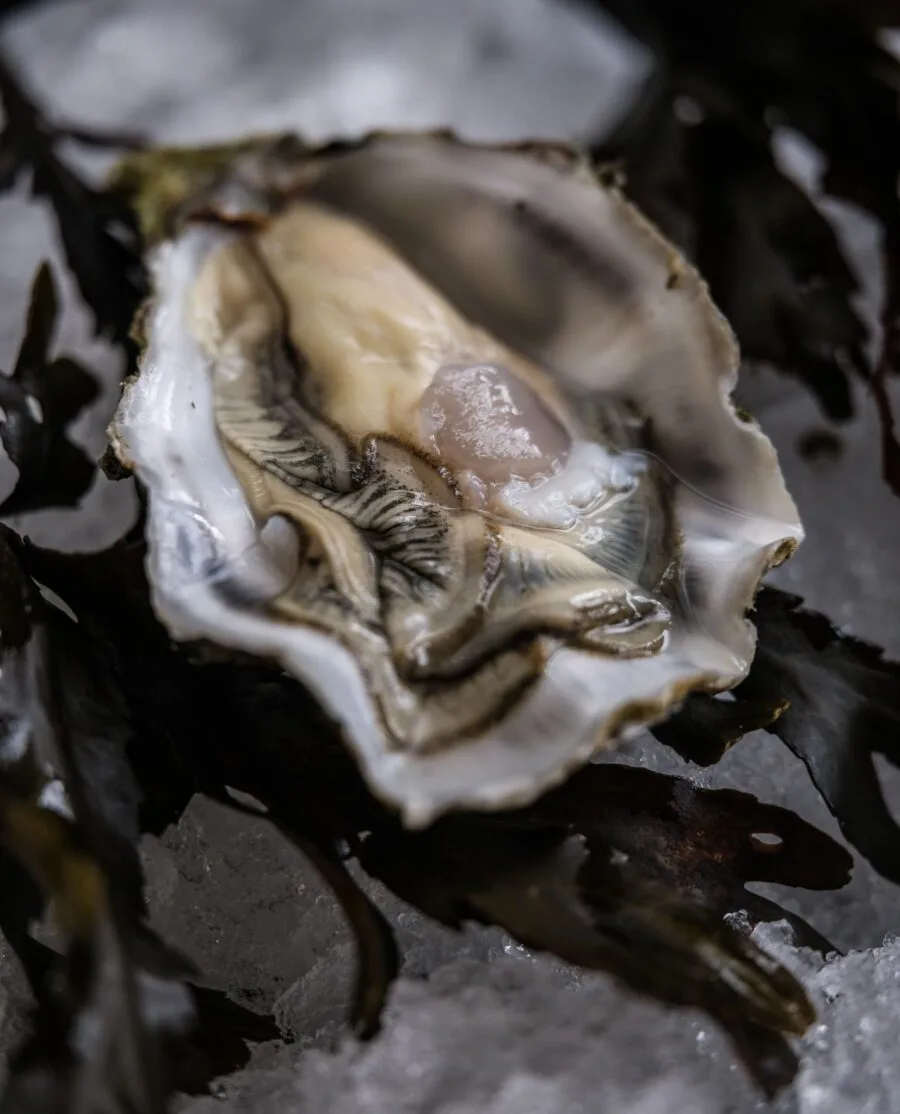 Salty Seafood Restaurant, Zwolle