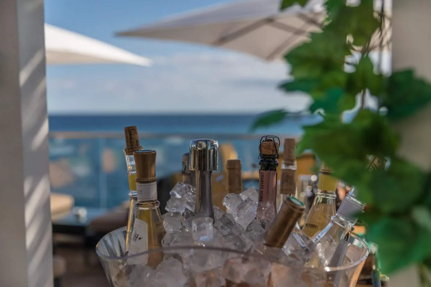 La Réserve de Nice — drink