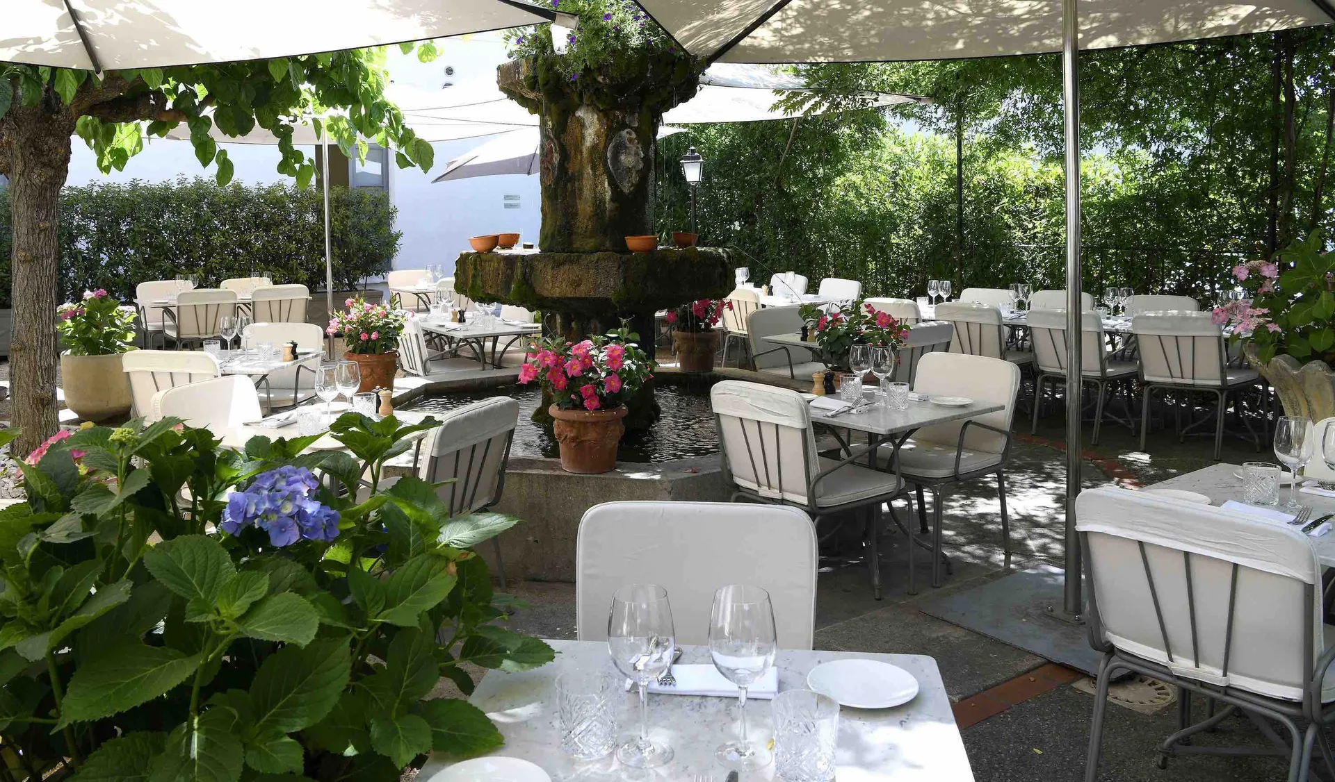 Le Petit Henri — photo 13