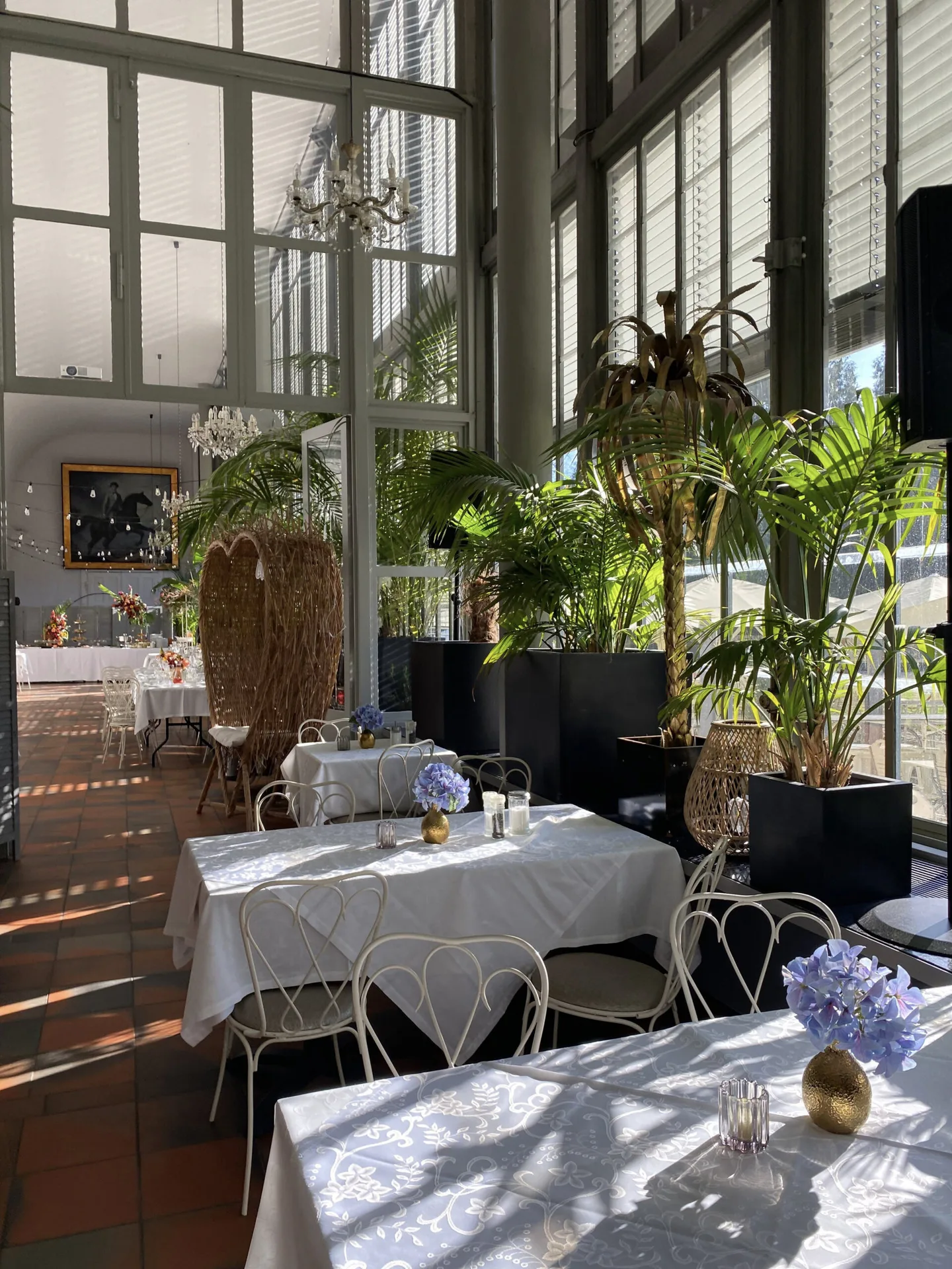 Schlosscafé im Palmenhaus — photo 107