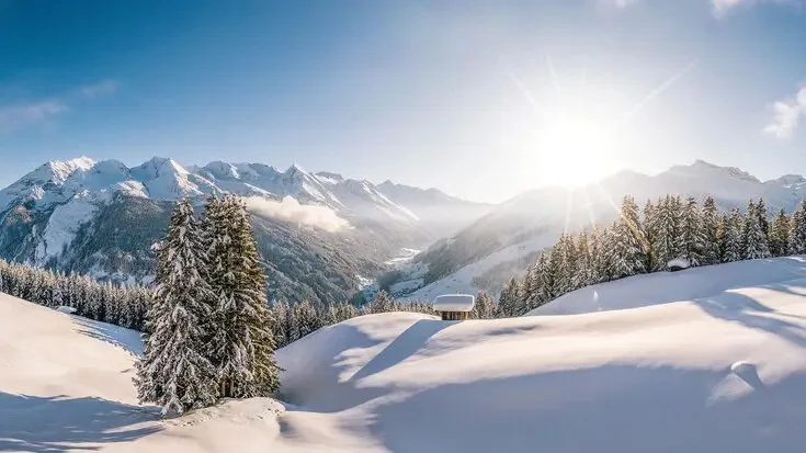 Geniesserstube im Alpenhof — photo 14