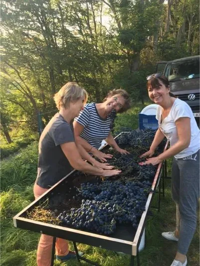 Quel Bon Vin T'Amène — photo 22