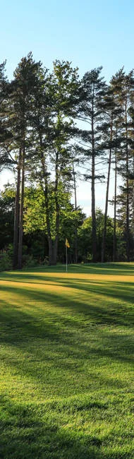 Foxhills Club & Resort — photo 5