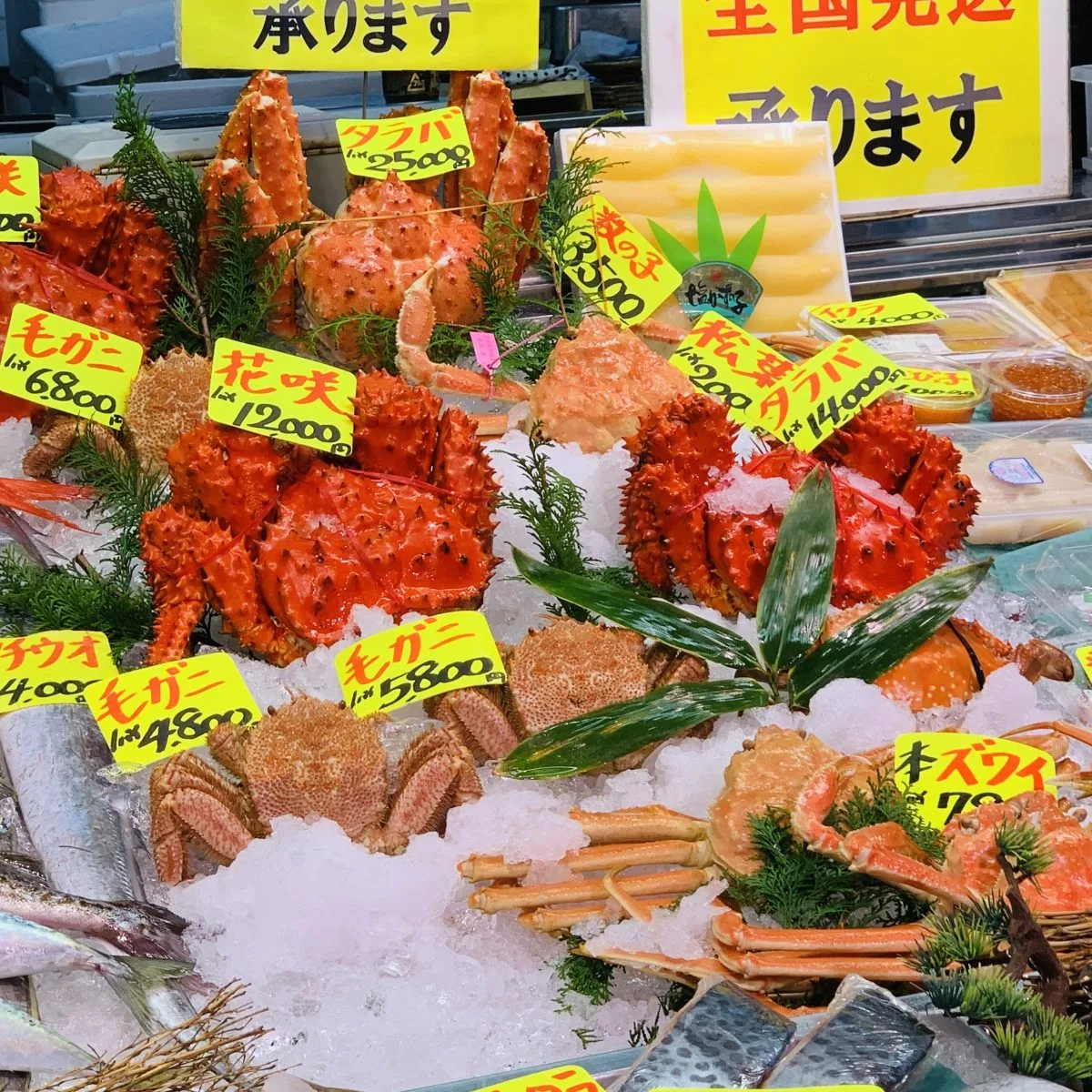 Matsunozushi — photo 96