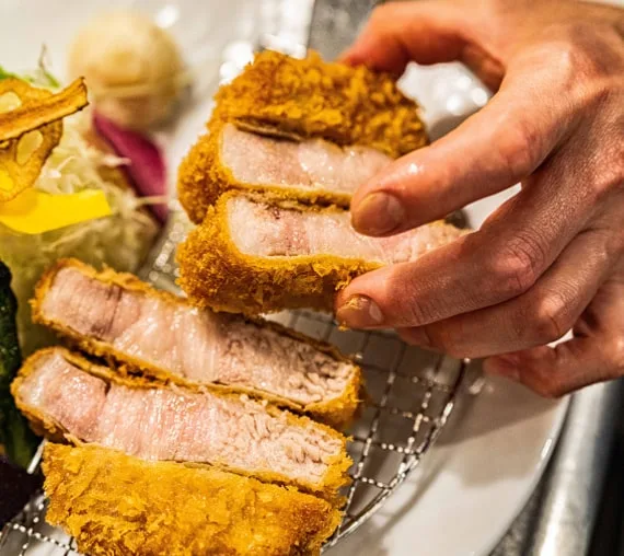 Tonkatsu KATSU Hana — photo 32