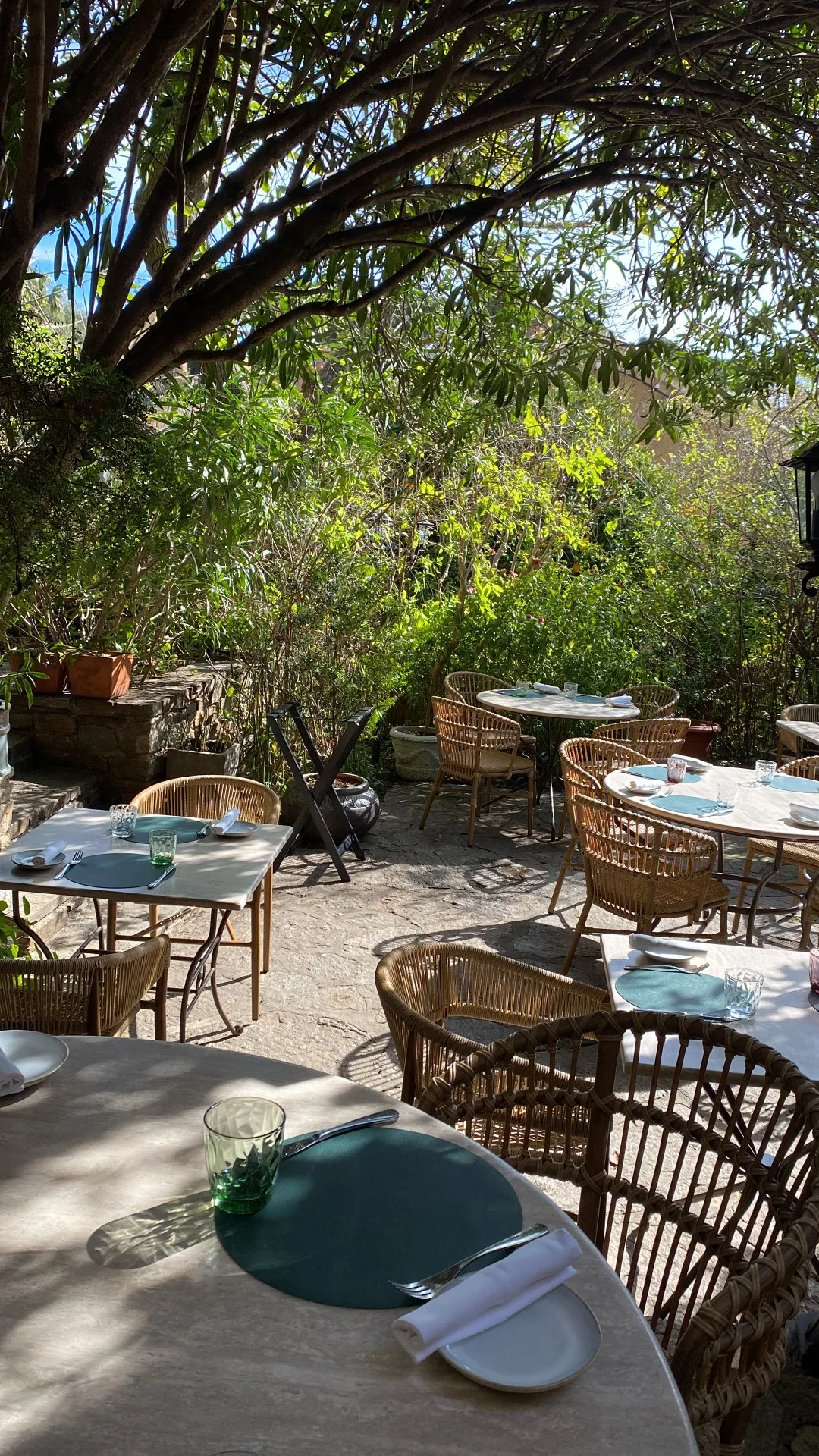 Le Jardin — photo 37