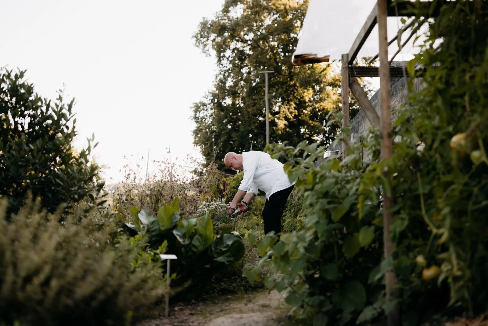 L'Auberge — photo 15
