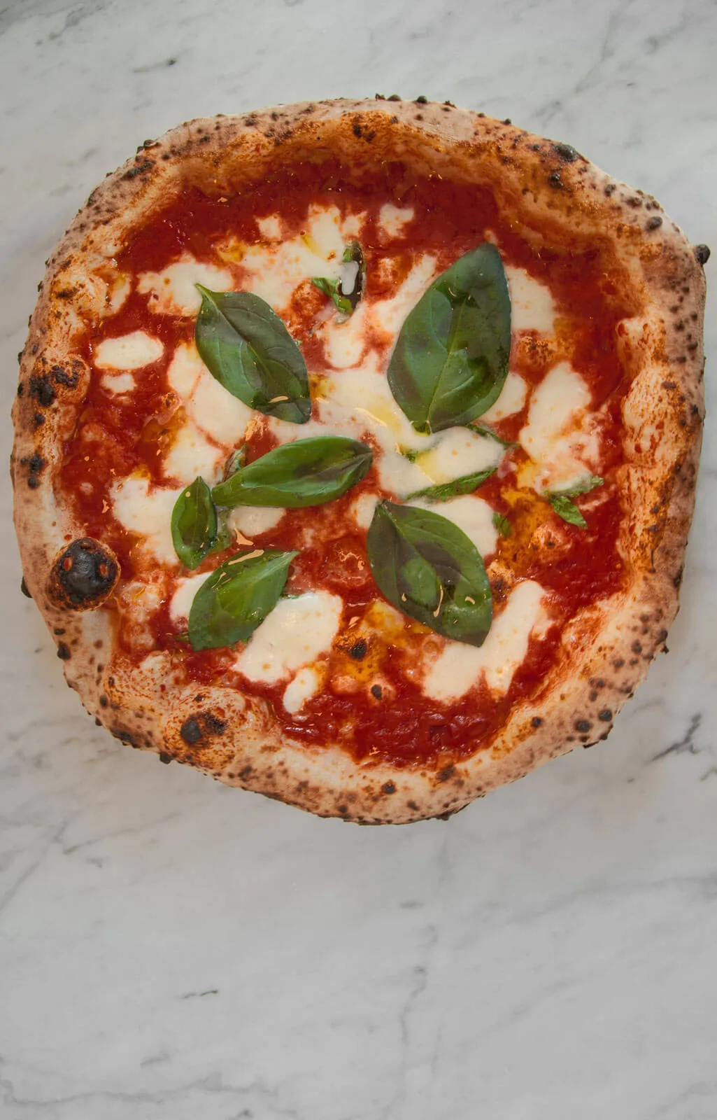 Nonna Pizzeria — photo 5