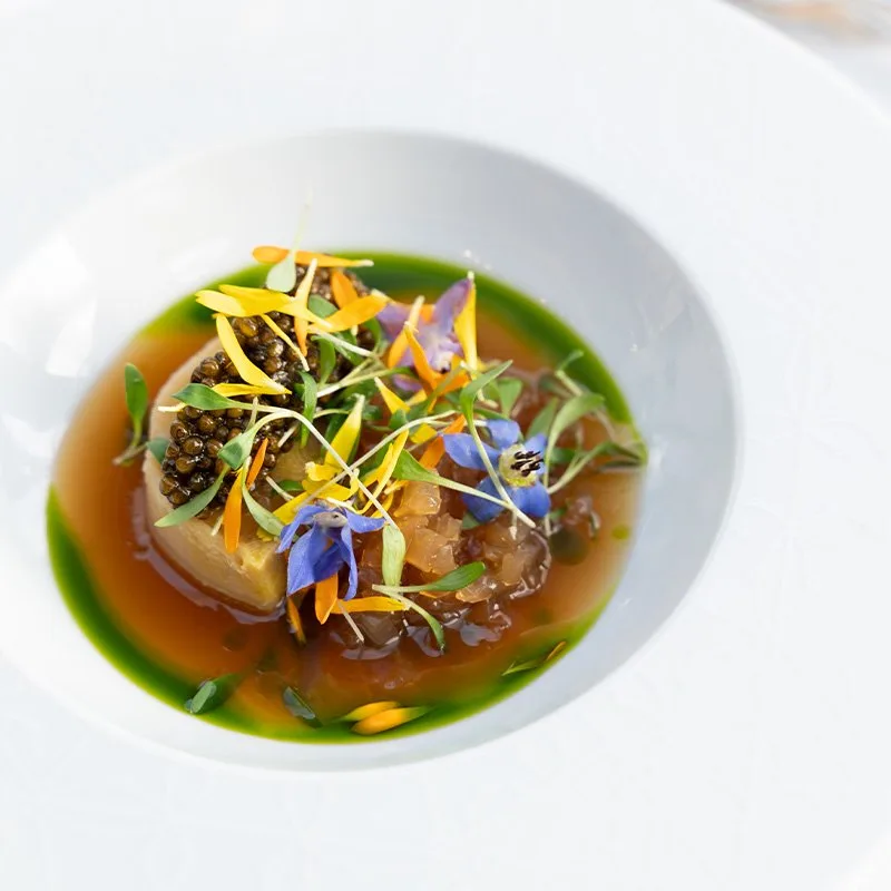 Ducasse sur Seine — photo 4
