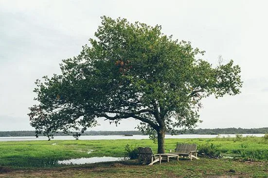 Villa de l'Étang Blanc — photo 7