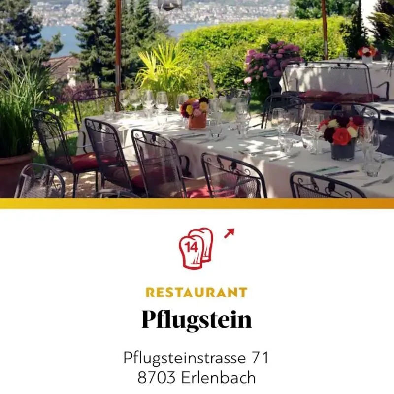 Zum Pflugstein — photo 42