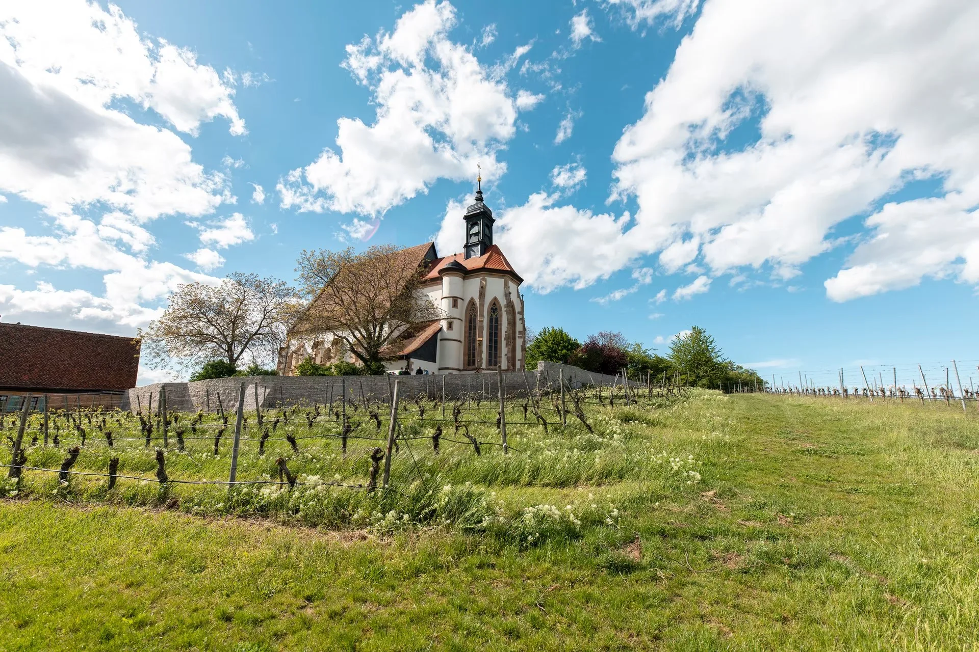 Weingasthof Rose — photo 9