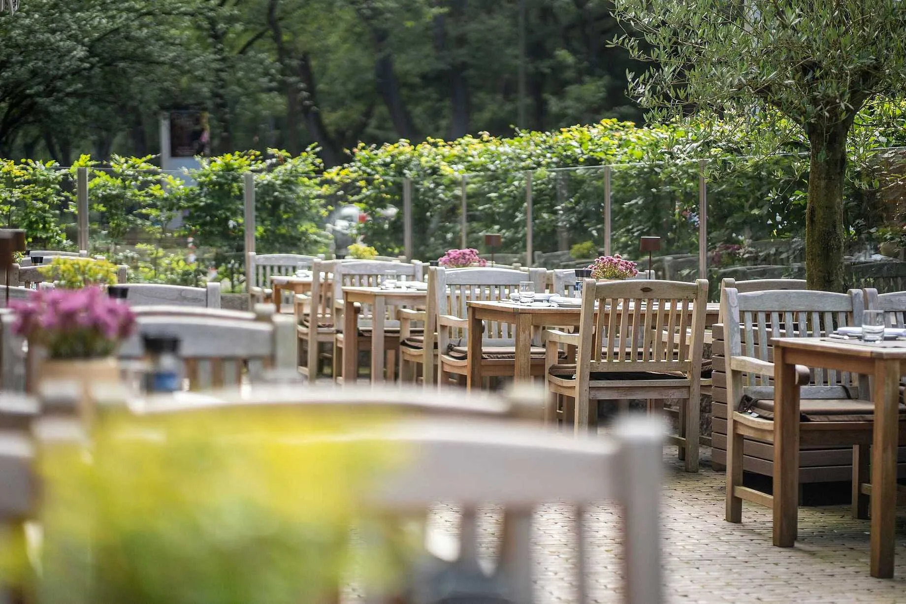 Restaurant del bosco - trattoria italiana — photo 4