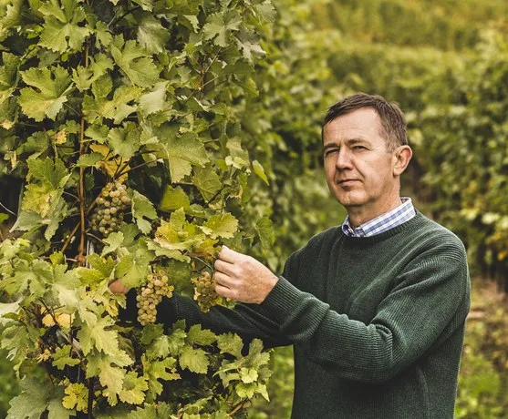 Weingut Nigl — photo 27