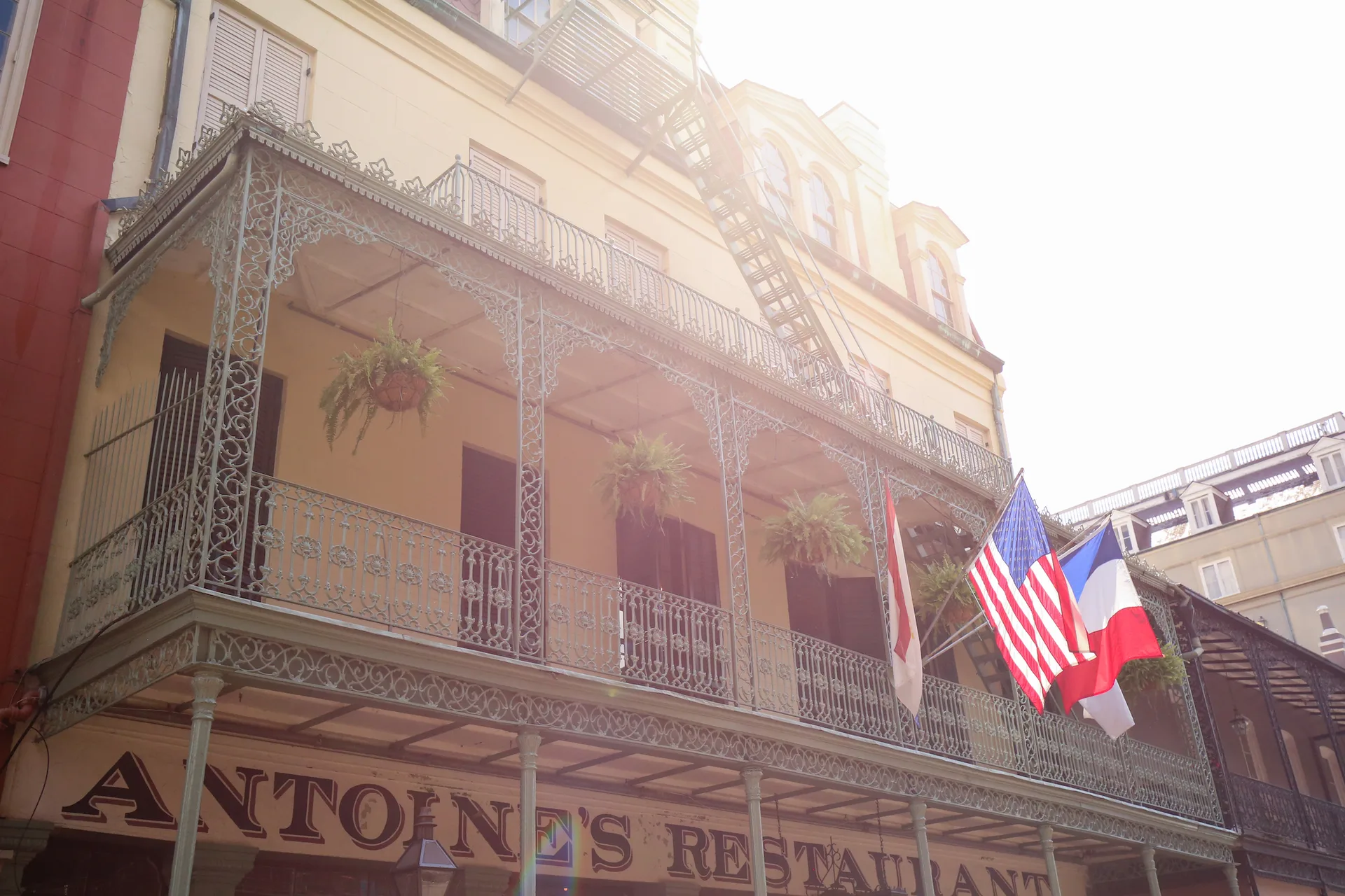 Antoine's — photo 20