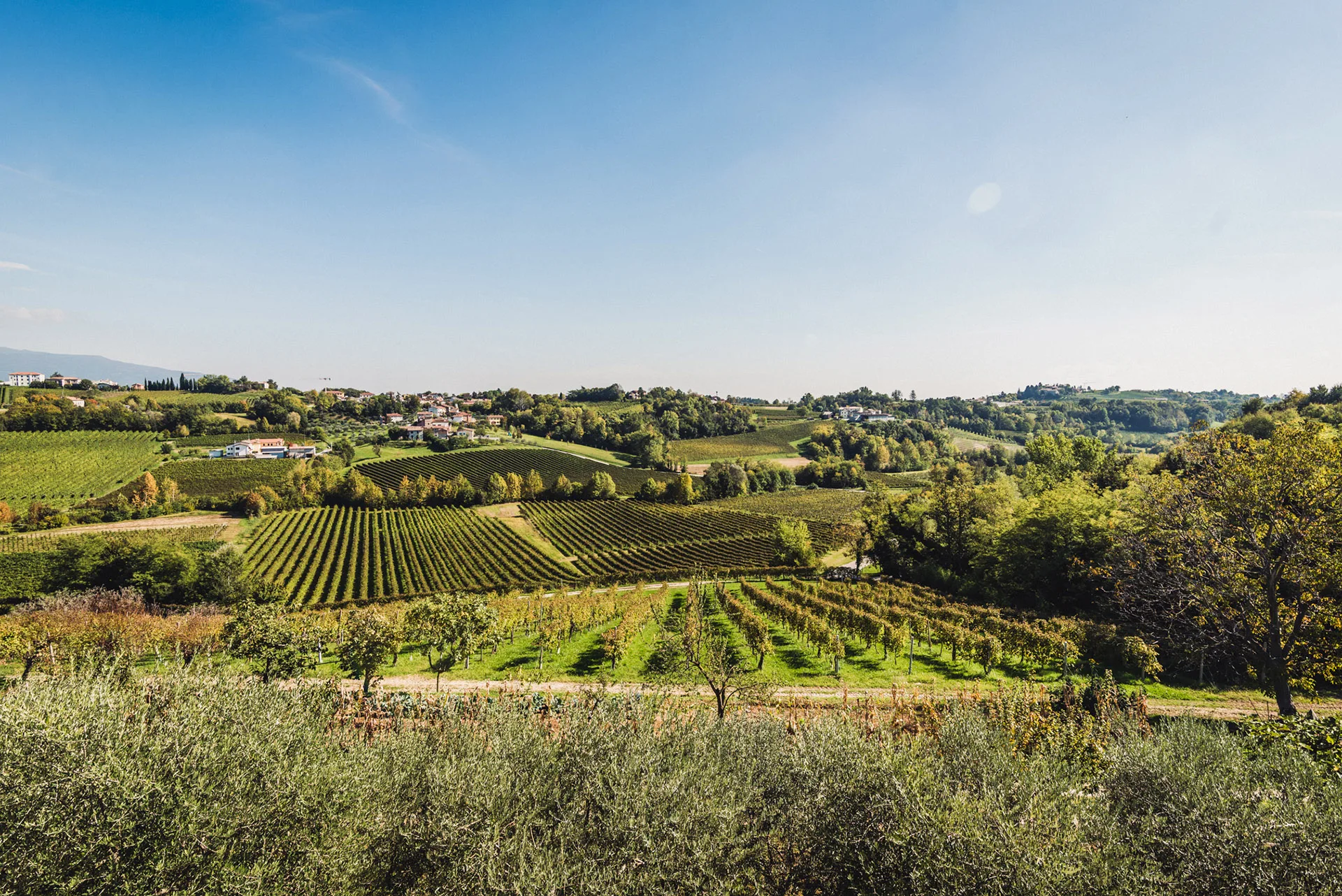 Al Larin da Bepo — photo 62