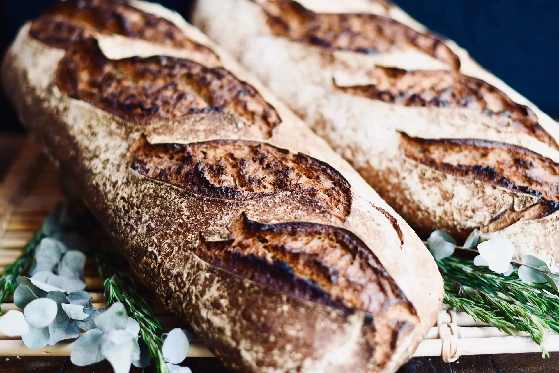 Levain Le Vin — photo 30