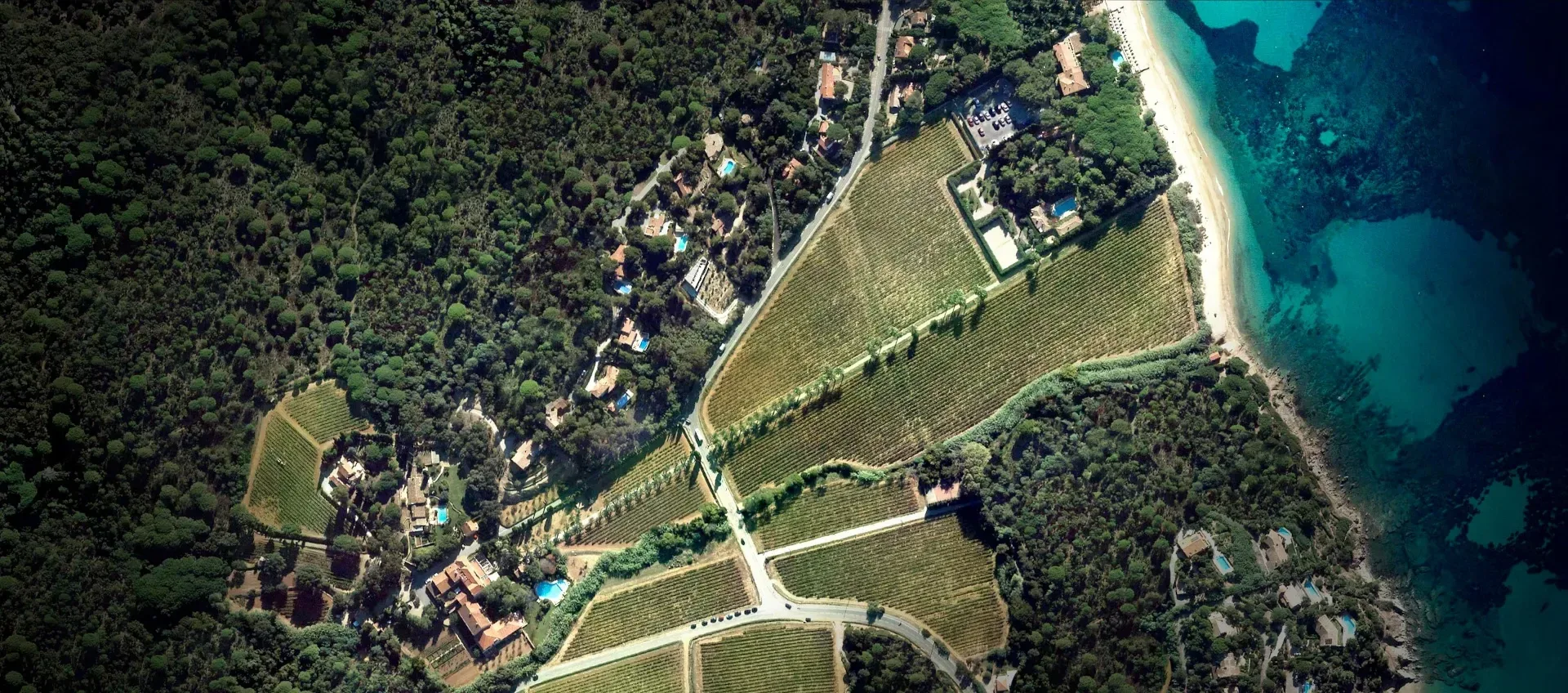 La Palmeraie - Château de Valmer — photo 11