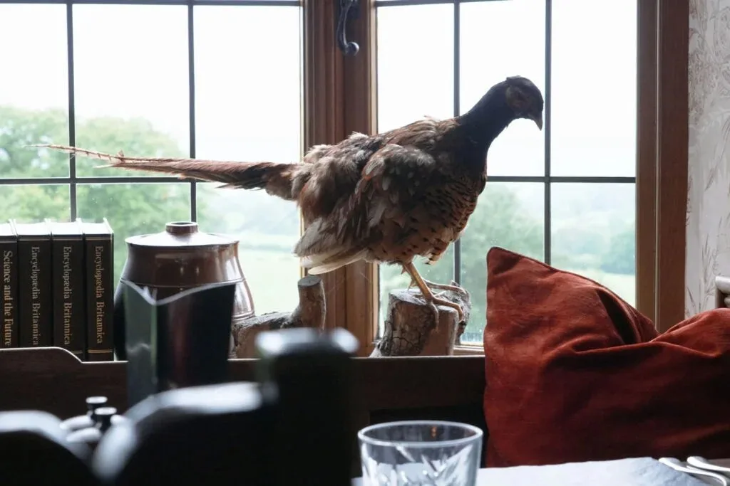 The Pheasant Inn — photo 16