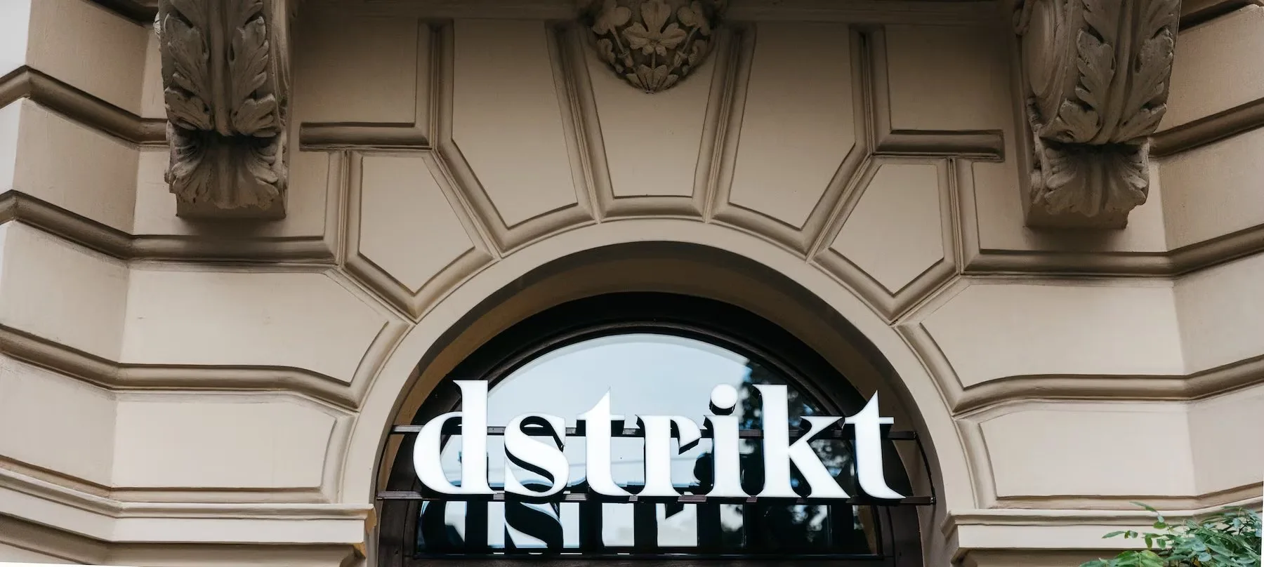 Dstrikt — photo 13