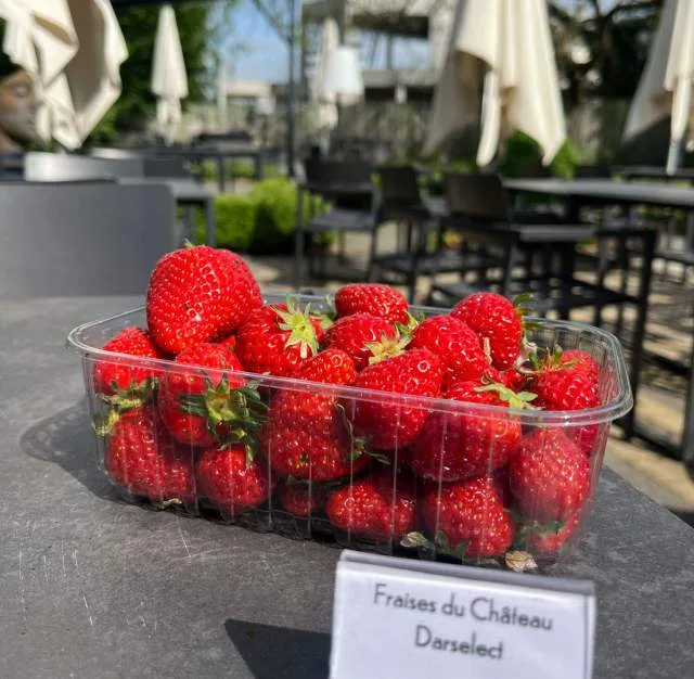 Côté Jardin — photo 51