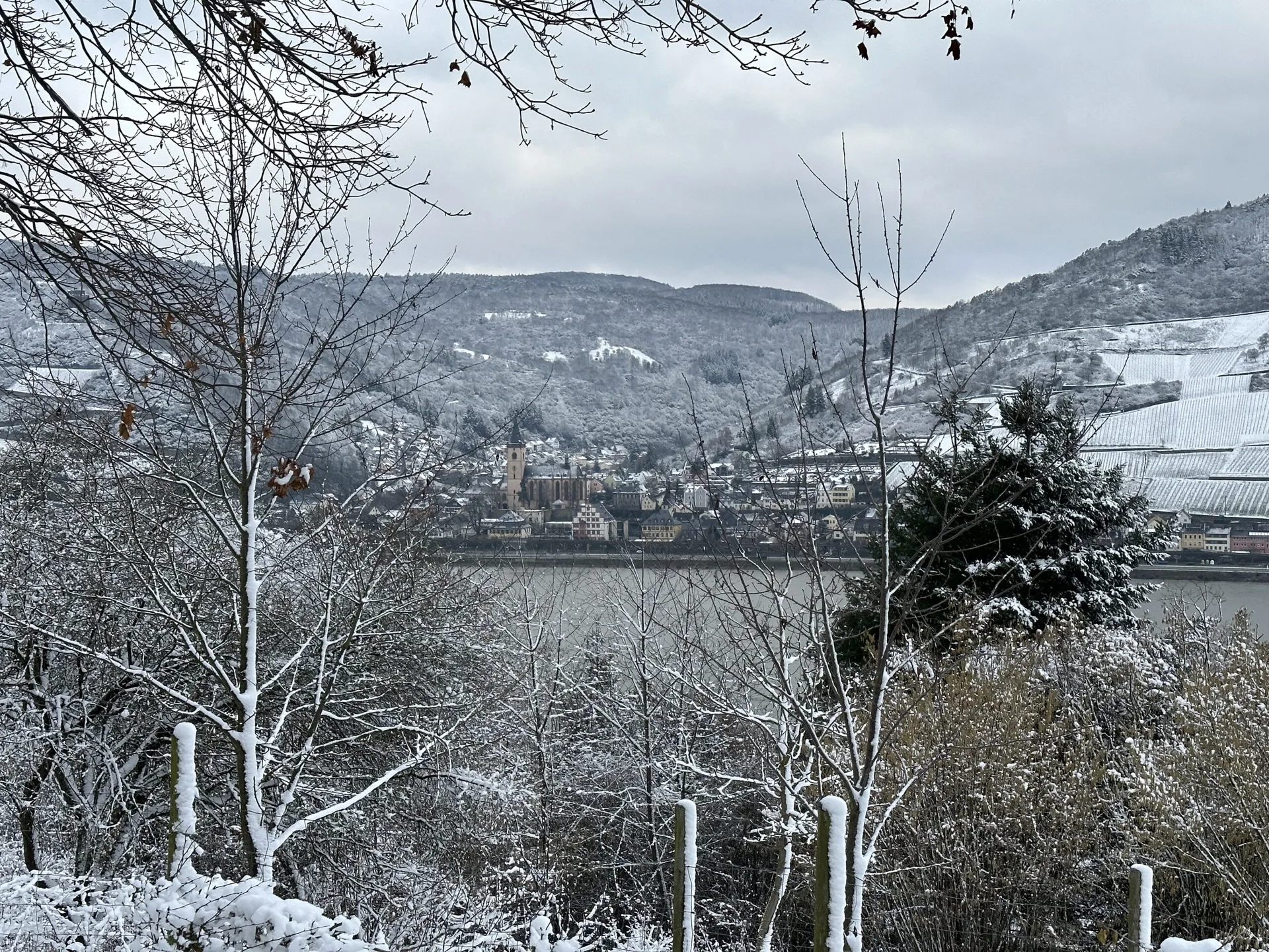 Restaurant Weinberg-Schlösschen — photo 104