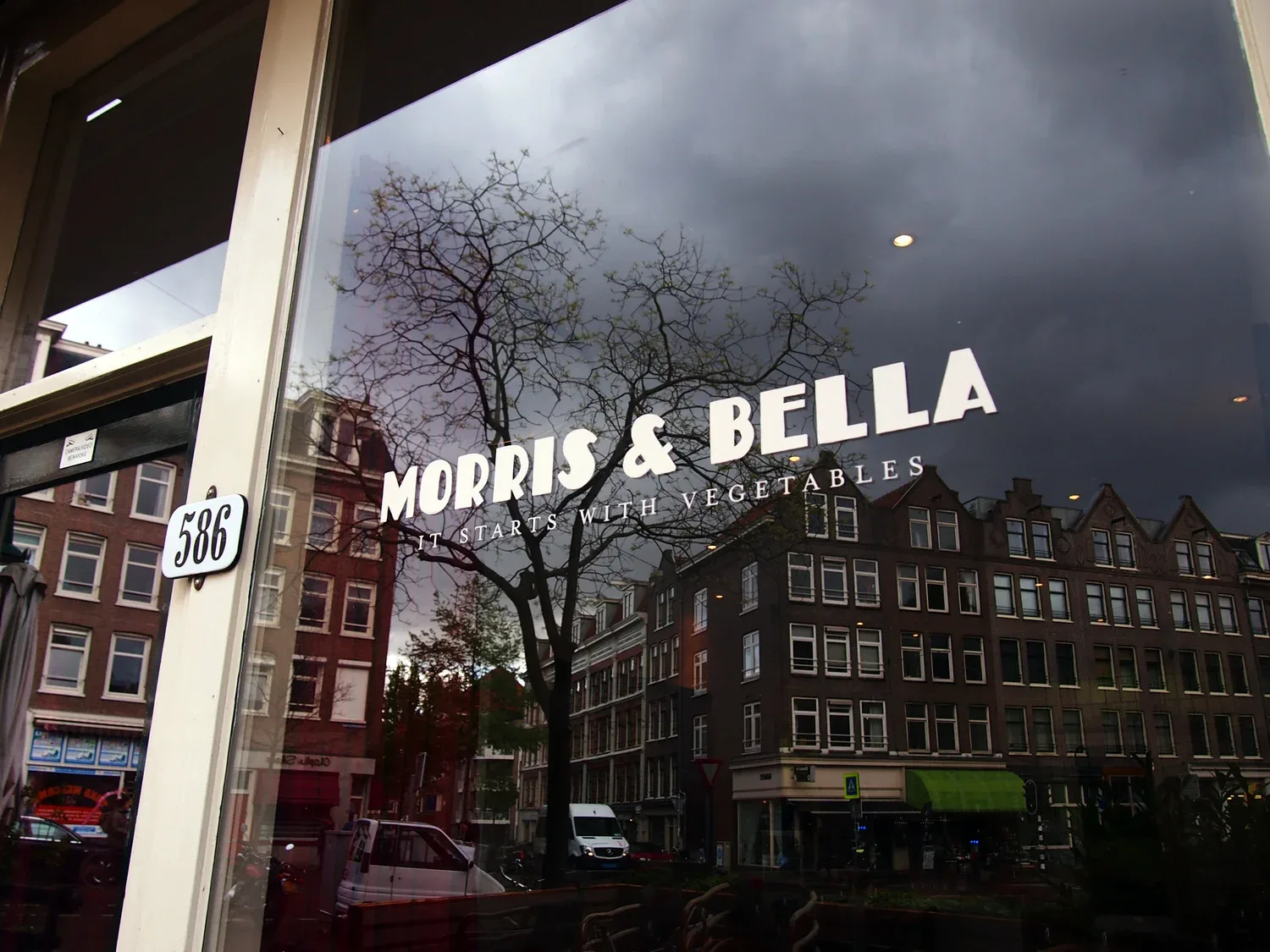 Morris & Bella — photo 10