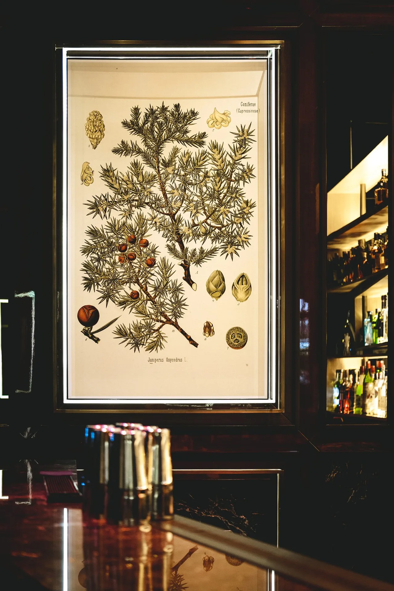 Ernest's Bar by Çok Çok Pera — photo 4