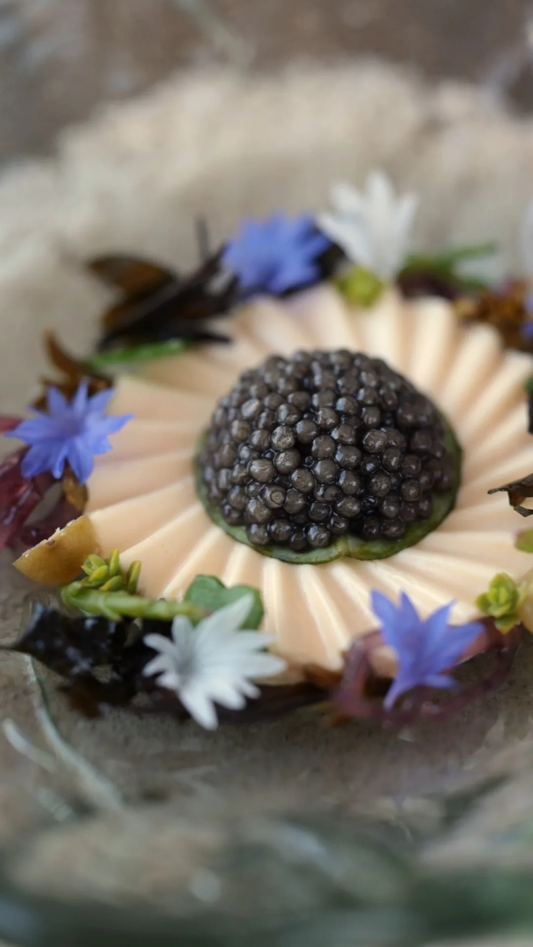 Ruths Gourmet — photo 72