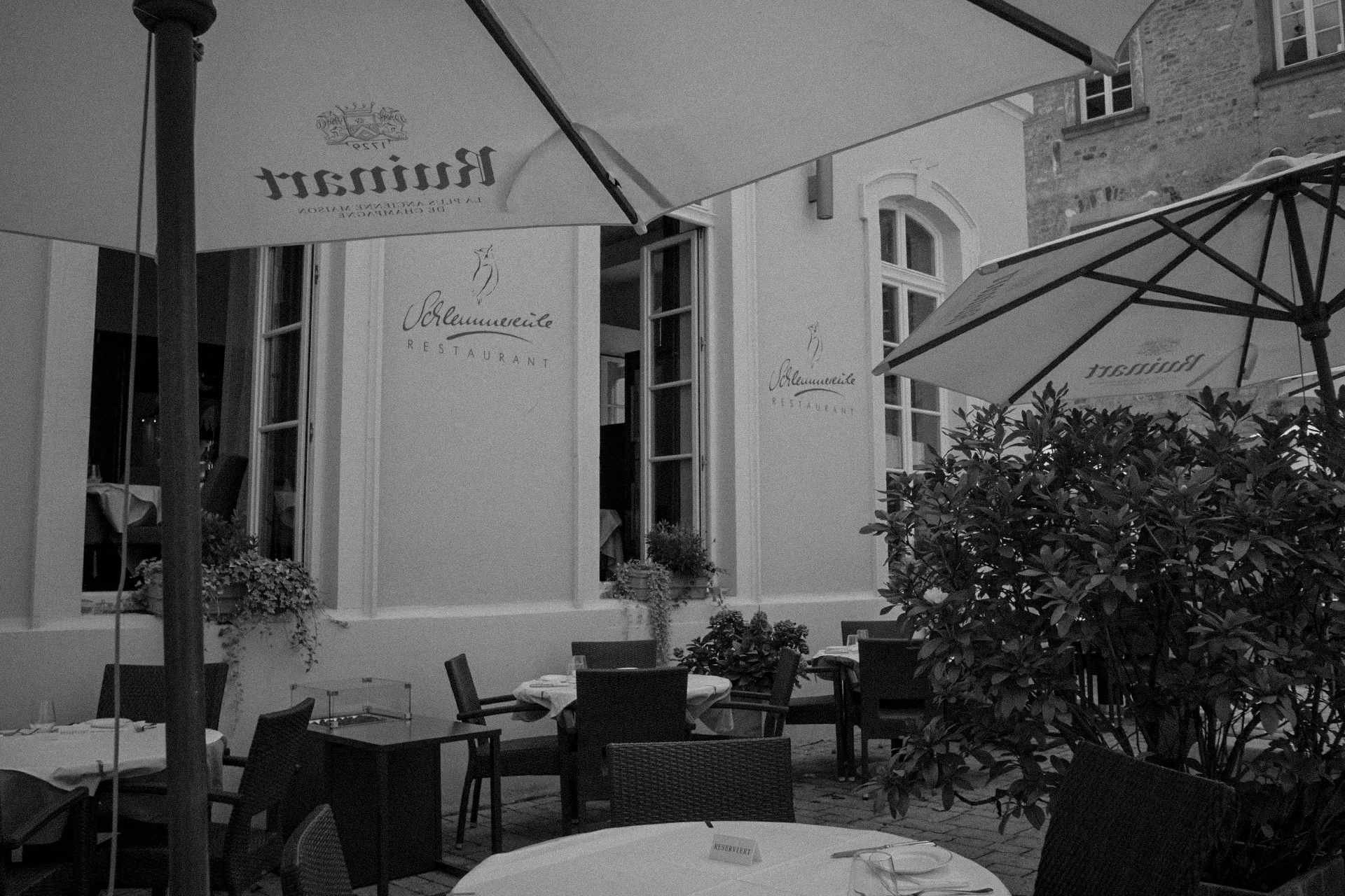 Schlemmereule — photo 28