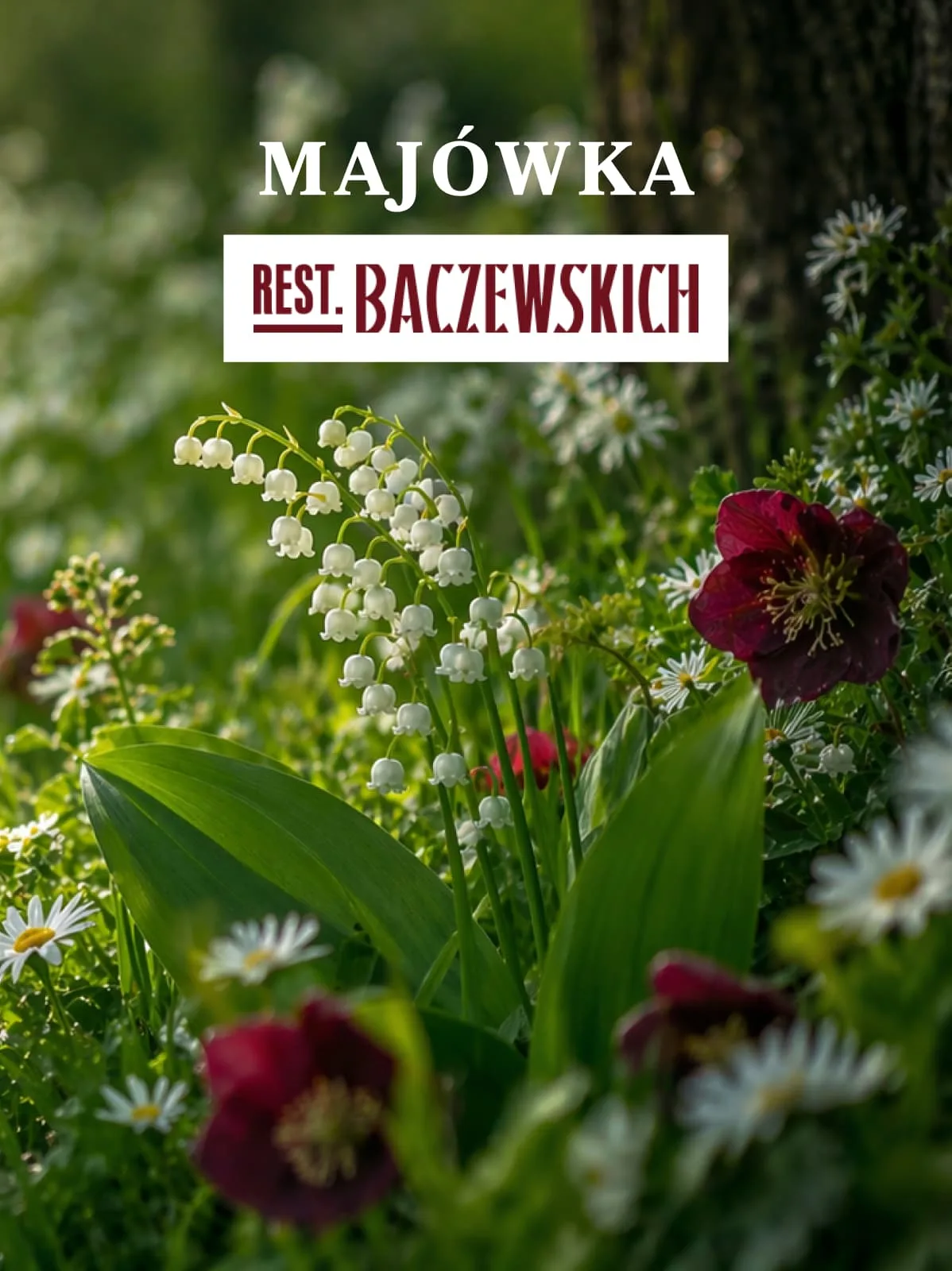 Rest.Baczewskich — photo 16