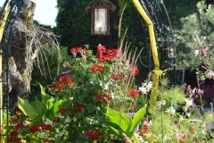 Kininger’s Hirsch — photo 21