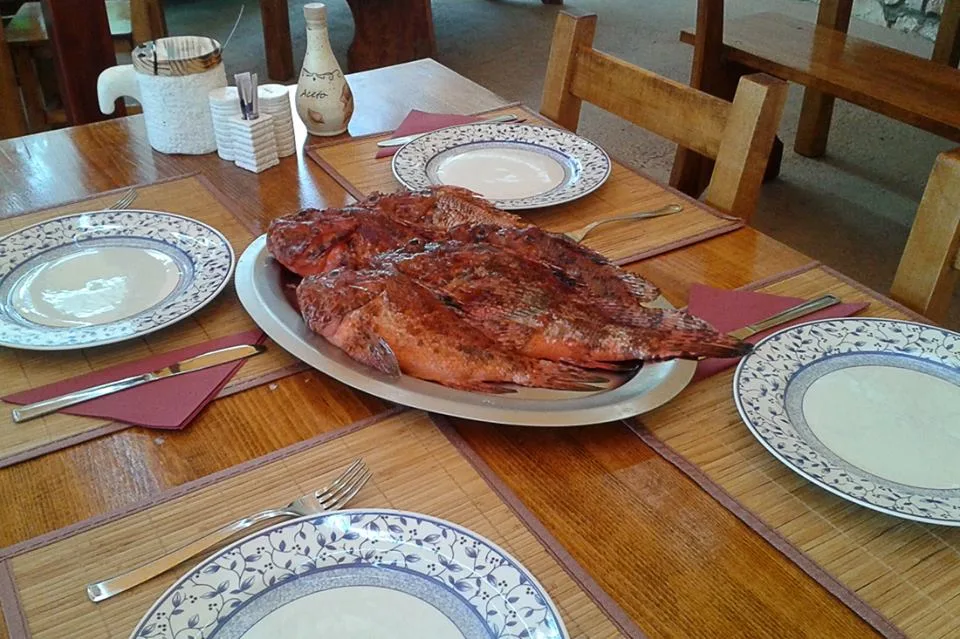 Vila Velebita — photo 13
