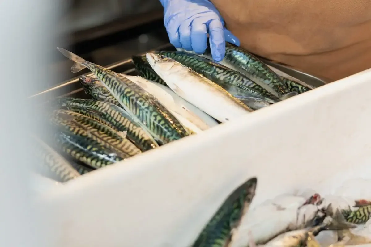 Fish Shop — food