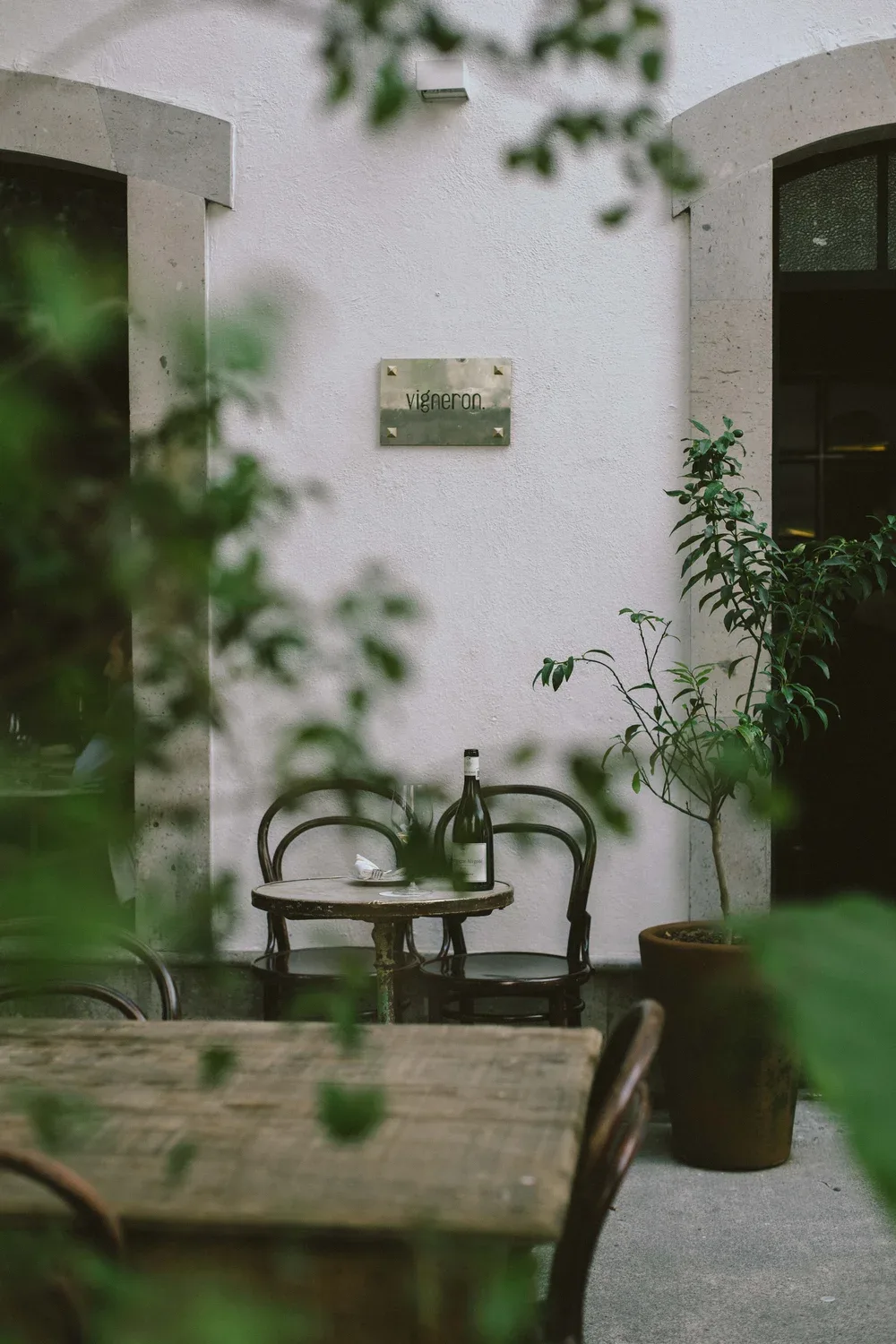 Vigneron — photo 7