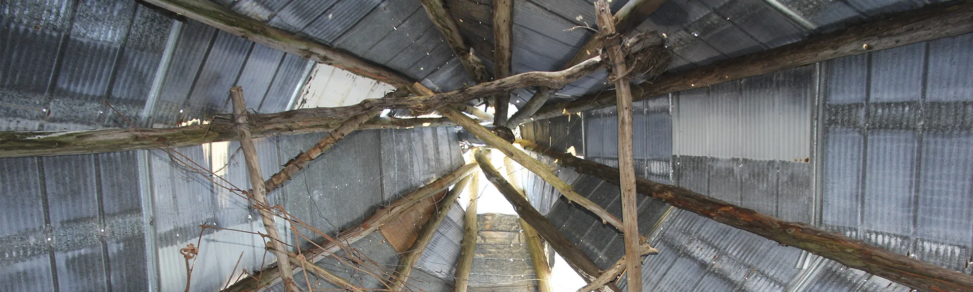 Eigensinn Farm — photo 14