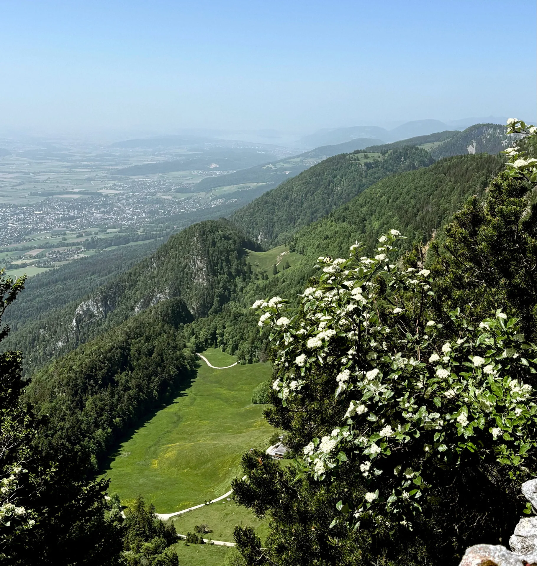 La Couronne — photo 38