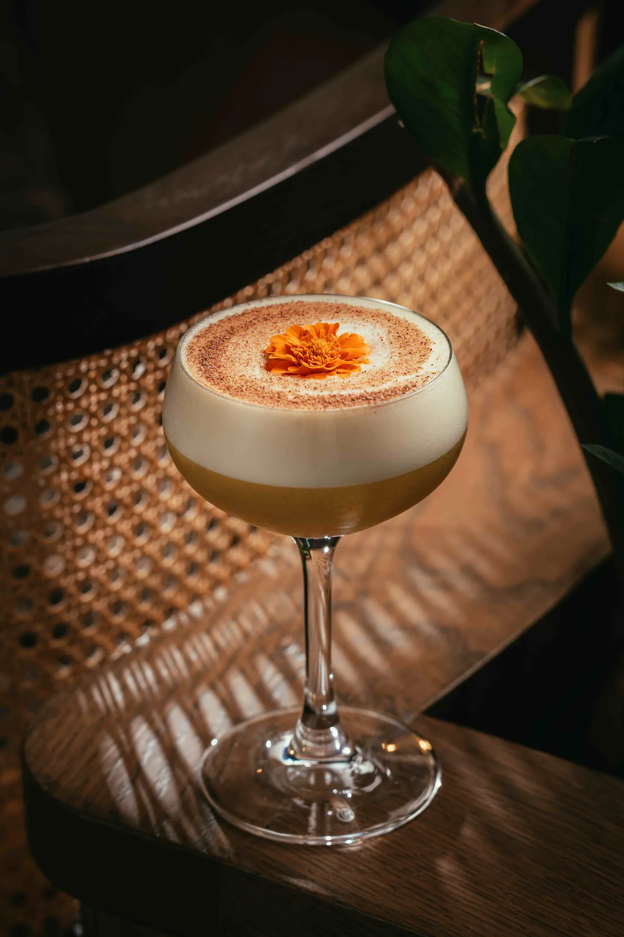 Mott 32 — photo 36